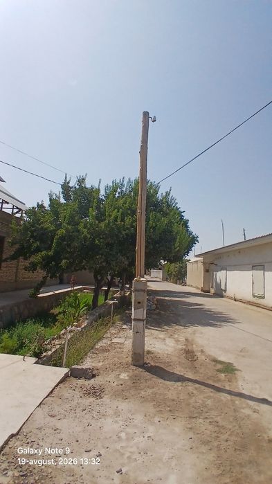 Sim yogʻoch "" stalba " sotiladi