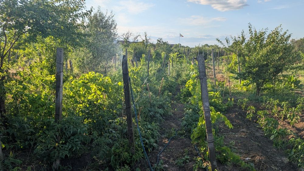 Vand teren si casā în Marasesti 1257m²