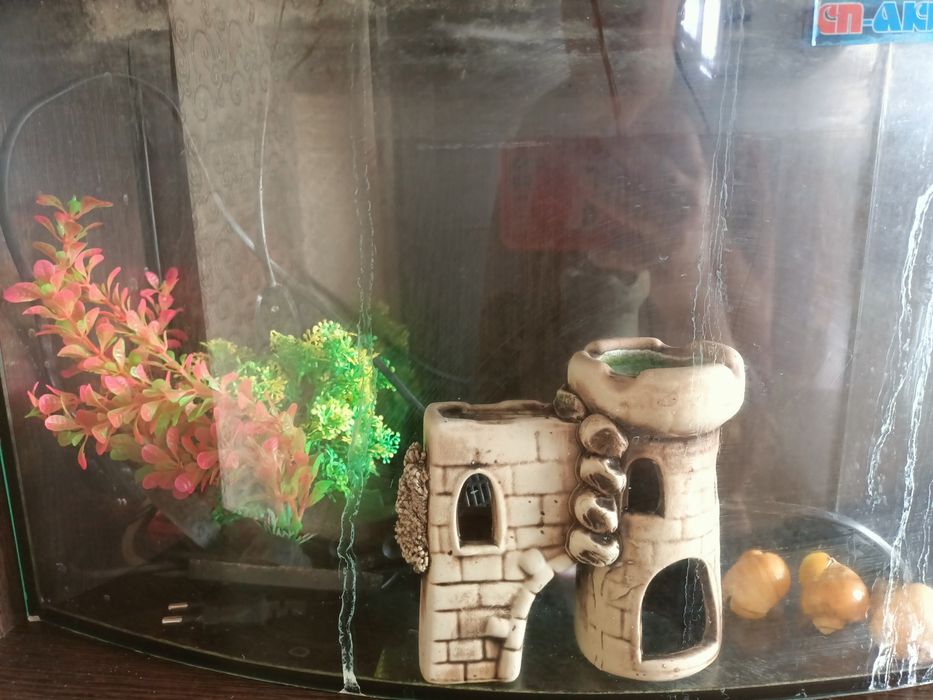 Аквариум для рыбок