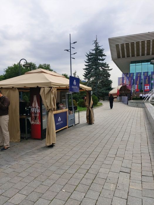 Аренда vip Шатёр