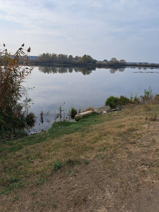 Black friday!!!Snagov 800mp linga lac .