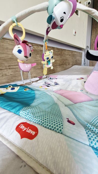 Активна гимнастика Tiny Love Tiny Princess Tales Gymini Deluxe