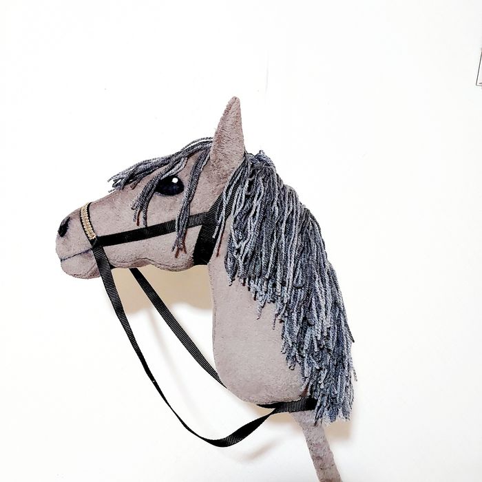 Căluț cu tijă, hobby horse