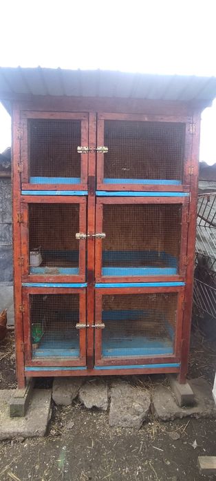 Vând cușca de iepuri