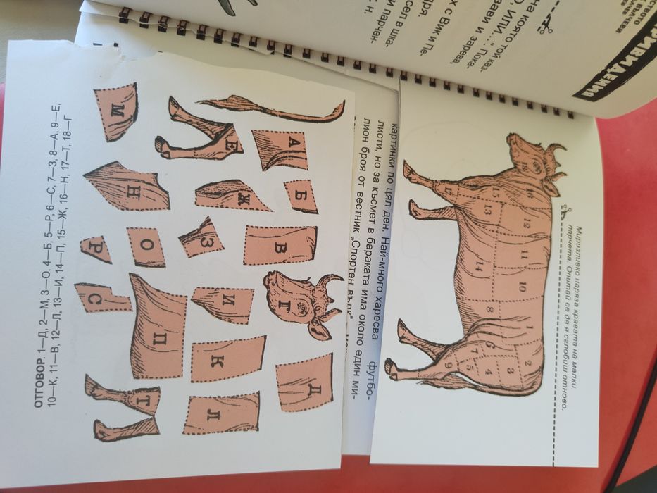 Малкия вълк - две книги