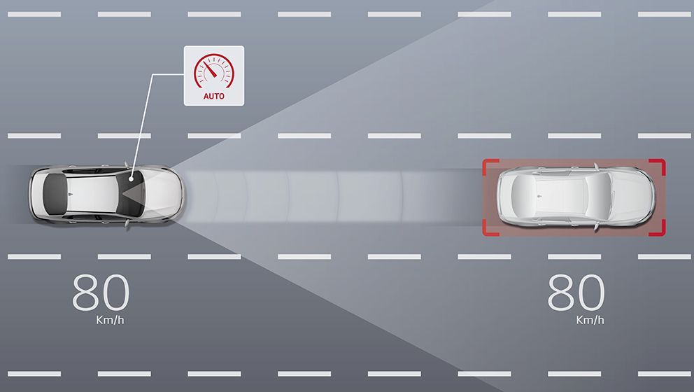 Автопилот Peugeot Citroen - темпомат Пежо и Ситроен