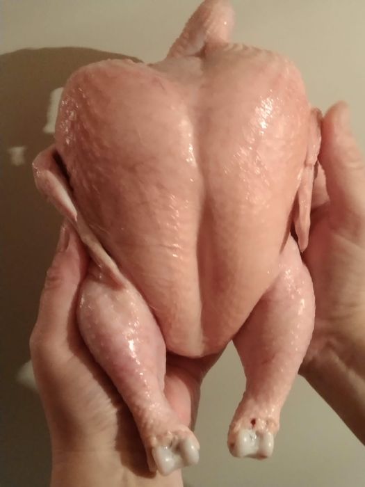 Продою мясо домашнего бролера