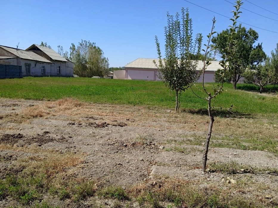 Samarqand viloyati Payariq narimanda yer uchastka sotiladi.