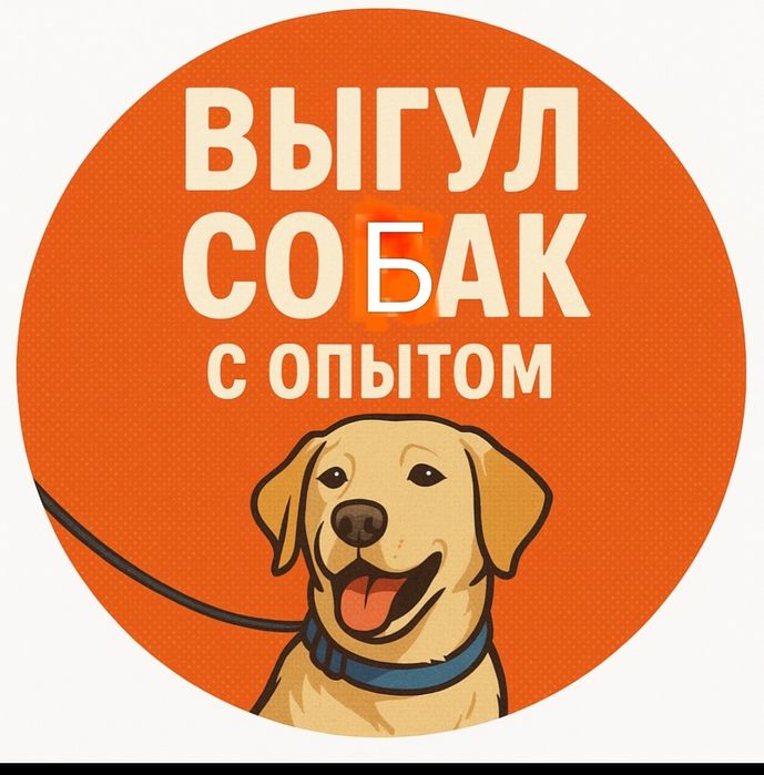 Выгул вашей собаки