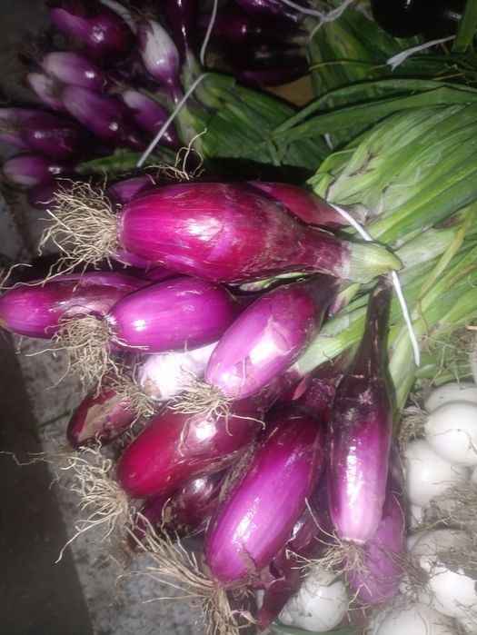 Legume ceapa morcov cartofi ceapa de apa