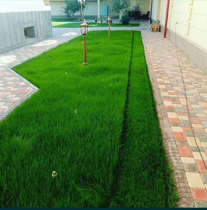 Газон  Палив Ланшафт хизматлари мавжуд гарантия 100%