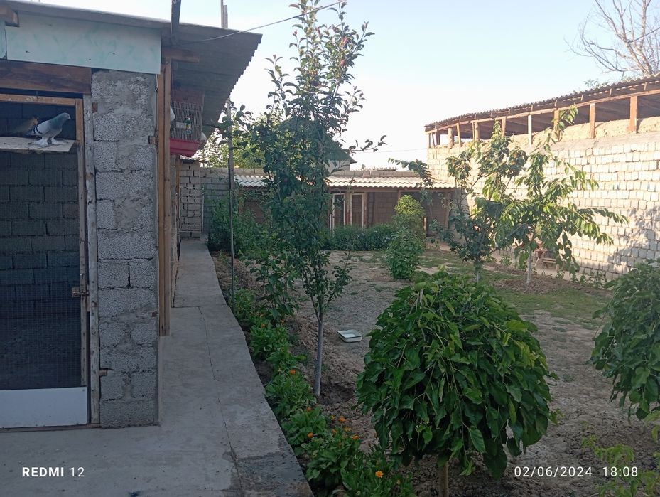 Дала ховли сотилади Куш кундида