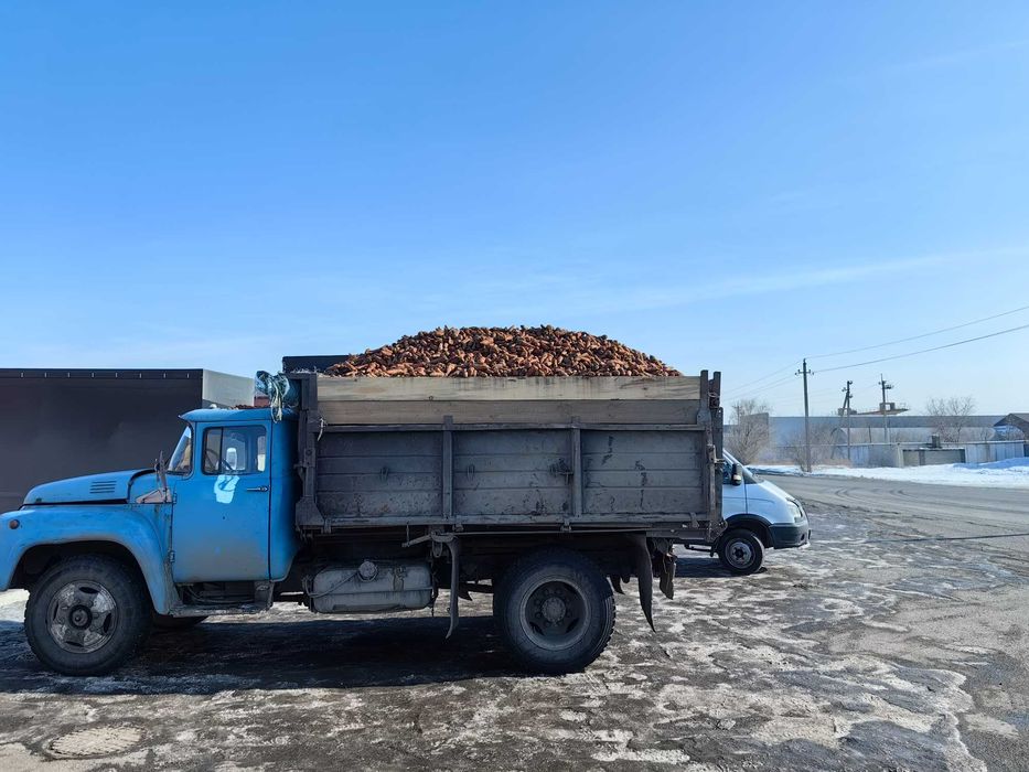 Продам Морковь для скотины.