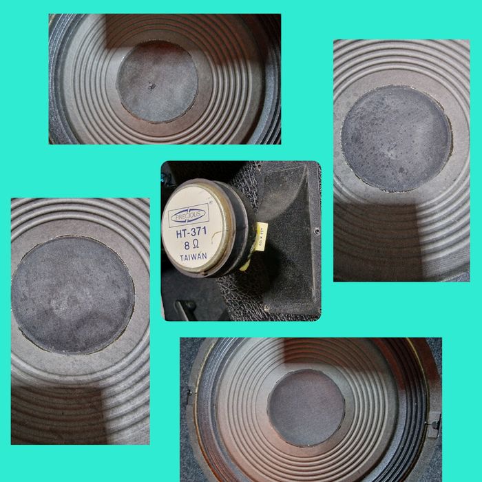 Audio Boxe FANE 2 X 12 inch + horn tweeter