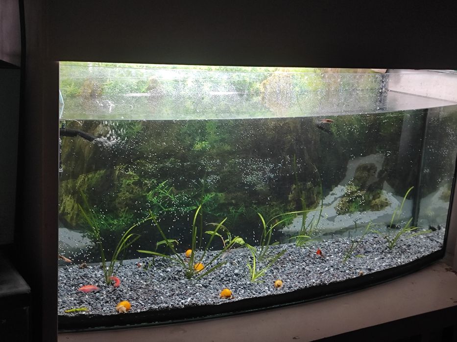 Аквариум 100 литров