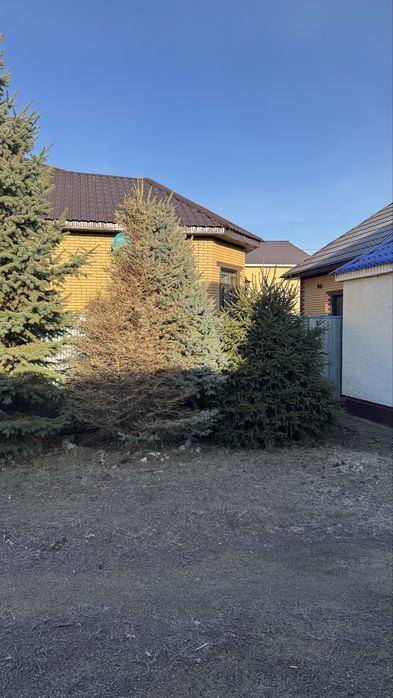 Продам Ёлку от 200.000тг