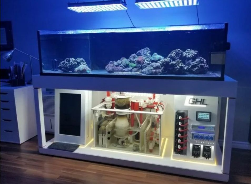 Морской аквариум