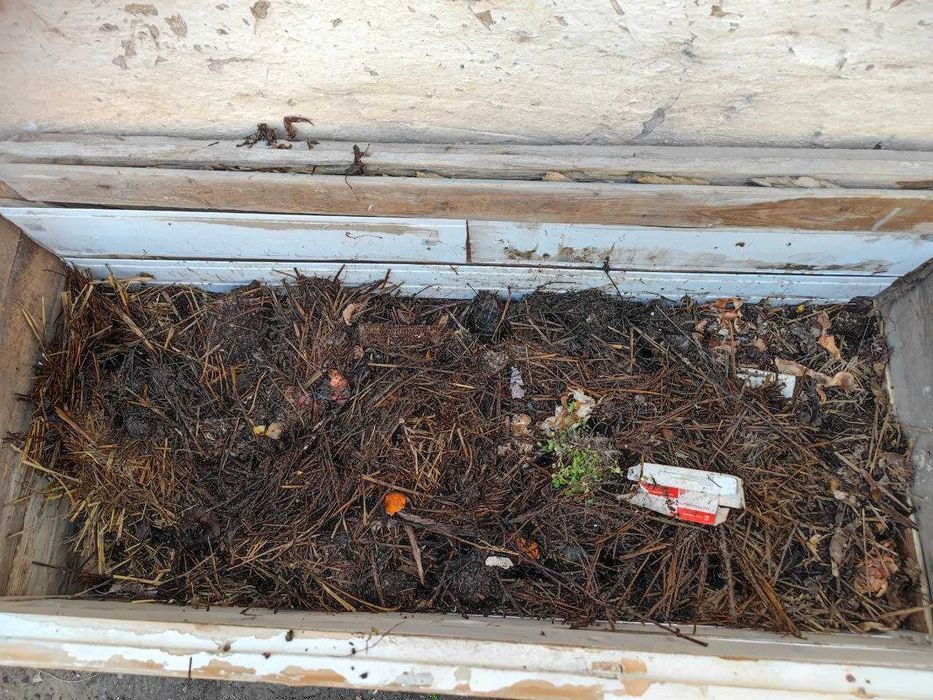 Черви и червятник