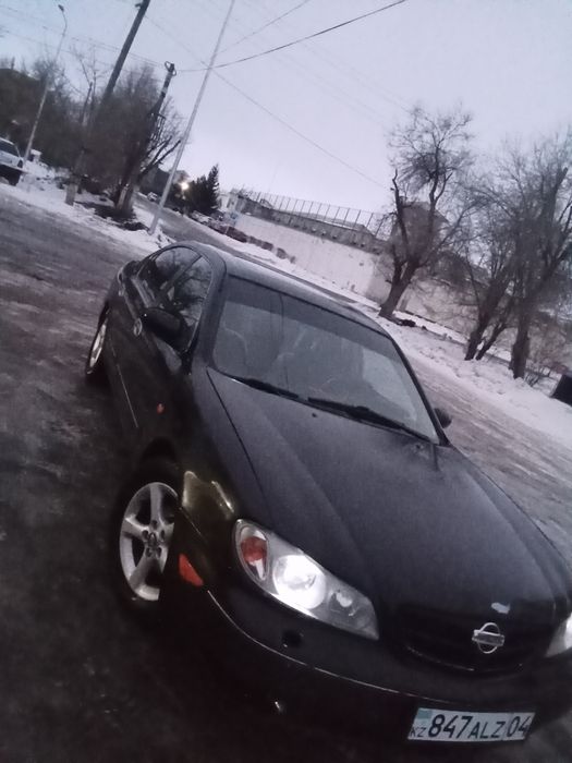 Максима сатылады