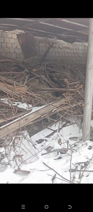 Hammasi 3mln tegda hali kop bor kelshtrb beramz