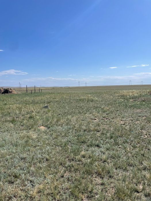 Продам КРС без скота