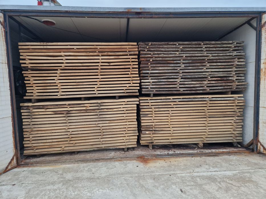 Cherstea stejar si fag