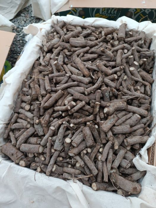 Павловния ФТЕ ва М1 илдиз каламчалари бор