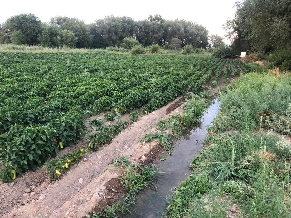 Продам Крестьянское хозяйство