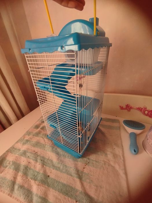 Продам хомяка с клеткой