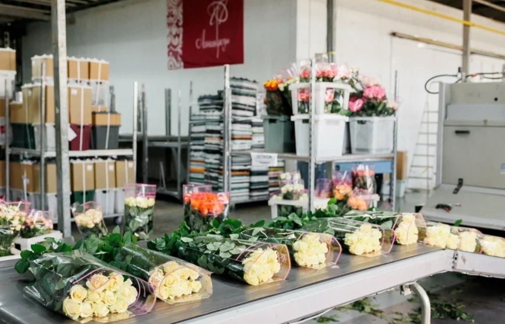 Свежие Розы Оптом