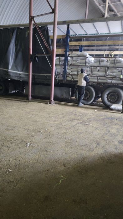 Услуга грузчиков