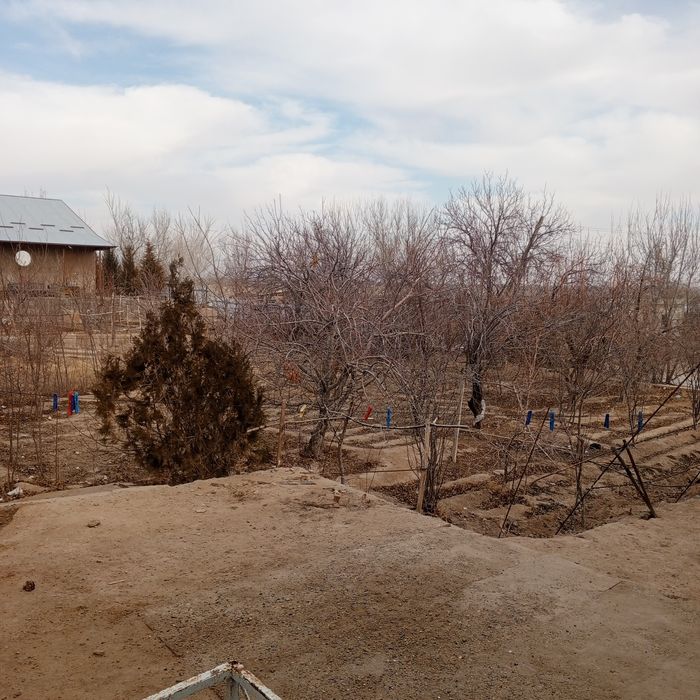 Uy sotiladi 18 soʻtiq sharlavuq