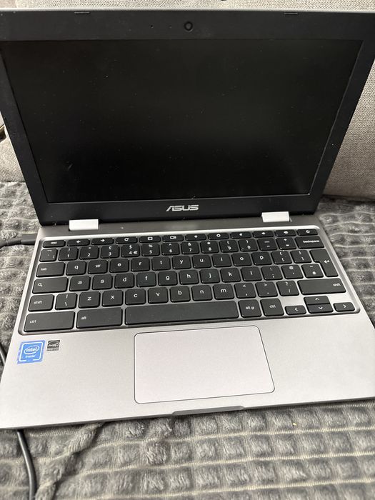 Asus Chromebook model C223NA