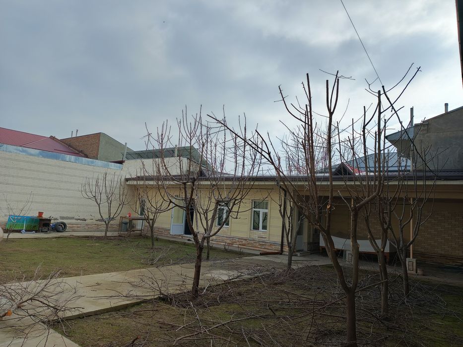 Toshkent shahri bo'ylab daraxt kesish va butalash xizmati
