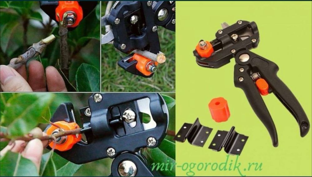 Секатор Прививочный профессиональный payvand uchun qaychi: 140 000 сум ...