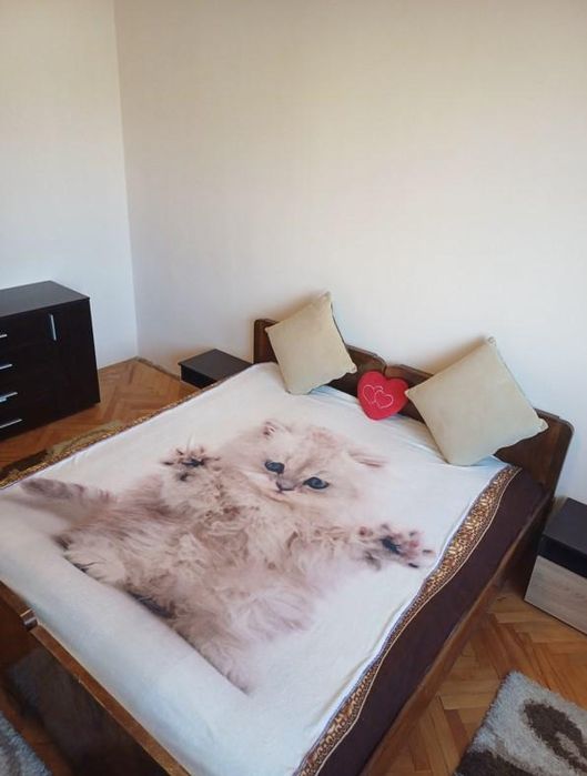 Дава се под наем Тристаен апартамент в София, Гео Милев - 85 кв.м за 650 € - Снимка #3