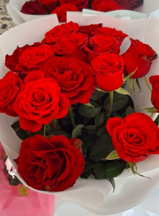 15штук красных роз