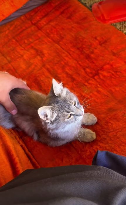 Er, xotin va kauchuk sik porno