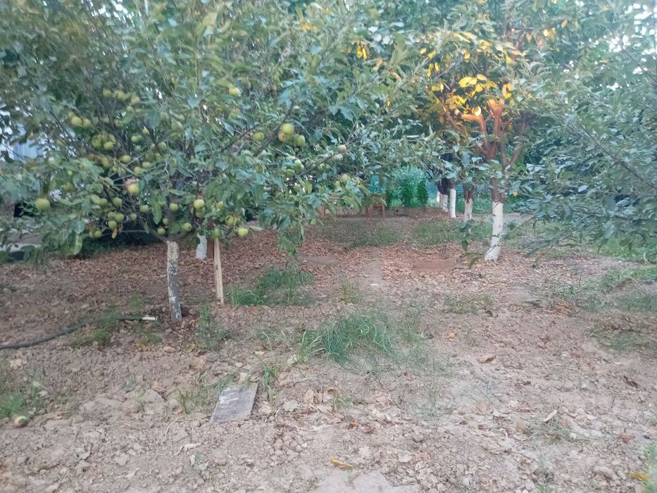 Участка сотилади маданият махалла