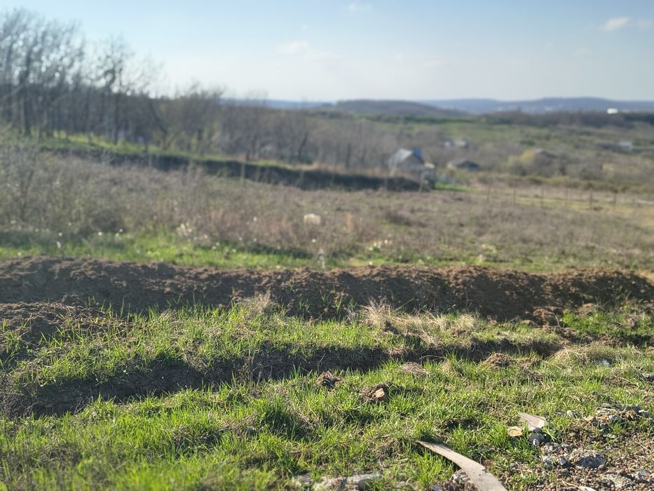 Teren Vlădiceni , Tomești panorama deosebita