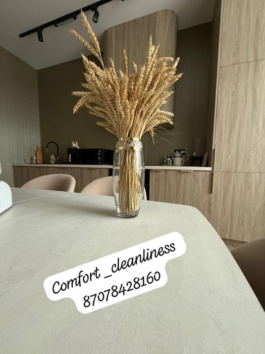 Клининг Астана не дорого