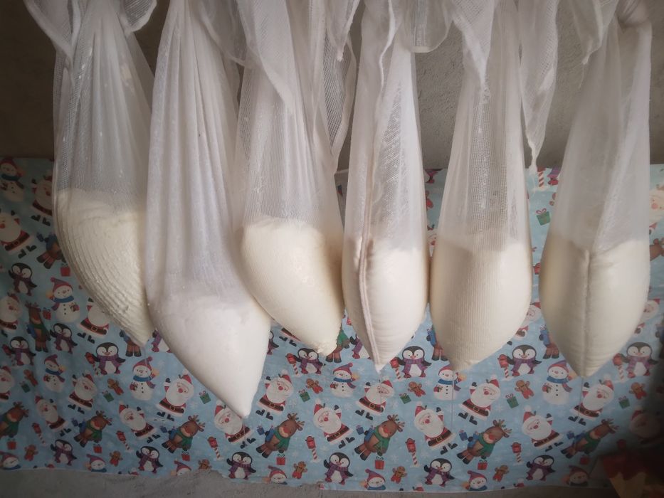 Branza proaspătă oaie și capră.