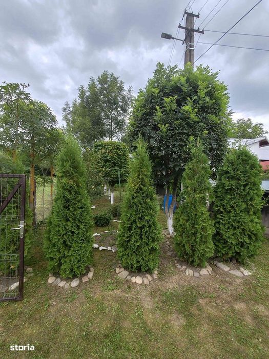 Oază de liniște și tradiție-Casa de vanzare