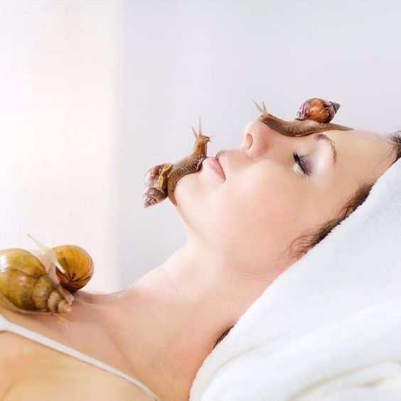 Ulitka Uzbekistan • Snail fermasi •