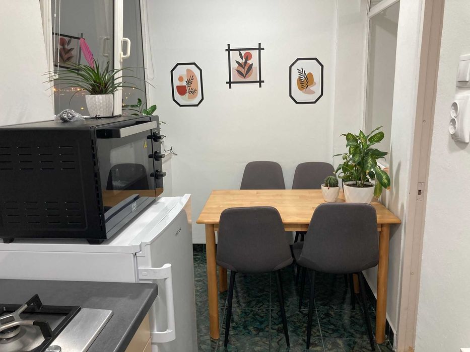Apartament o camera Cantemir, Salca