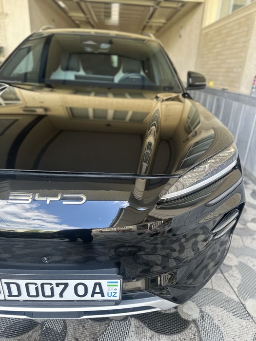 Byd champion full 2024yil