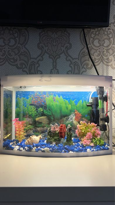 Akvarium srochna sotiladi