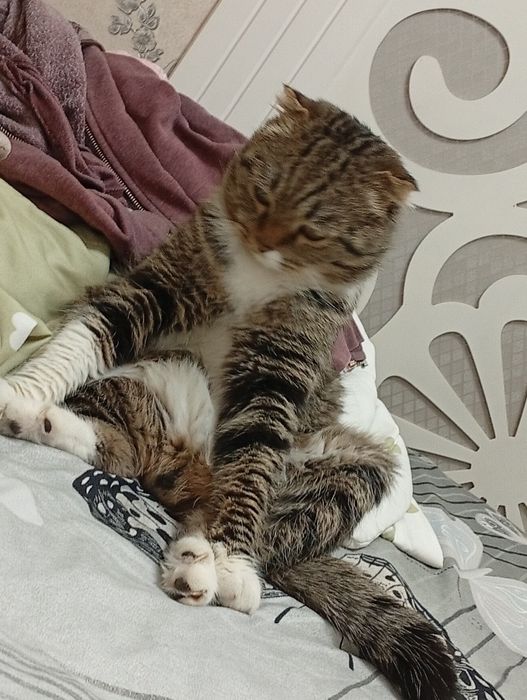 Lskdbidkqkkdbkelsnsbzk