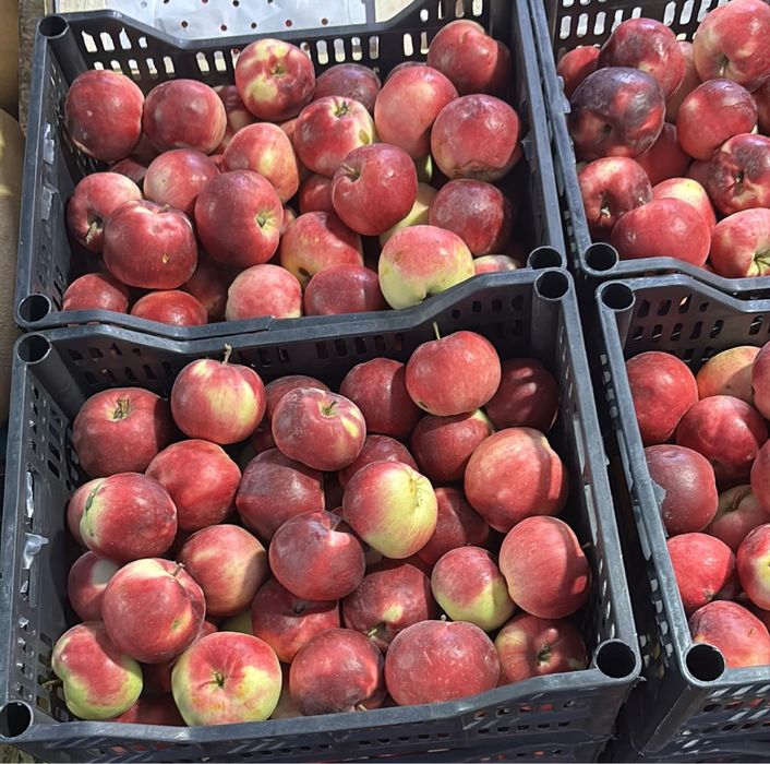 Натуральный яблочный уксус