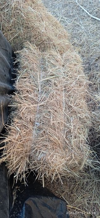 Шалы пресс сатылады